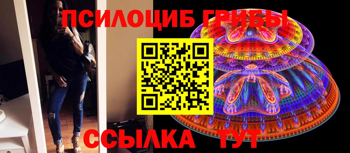 Галлюциногенные грибы GOLDEN TEACHER Новочебоксарск