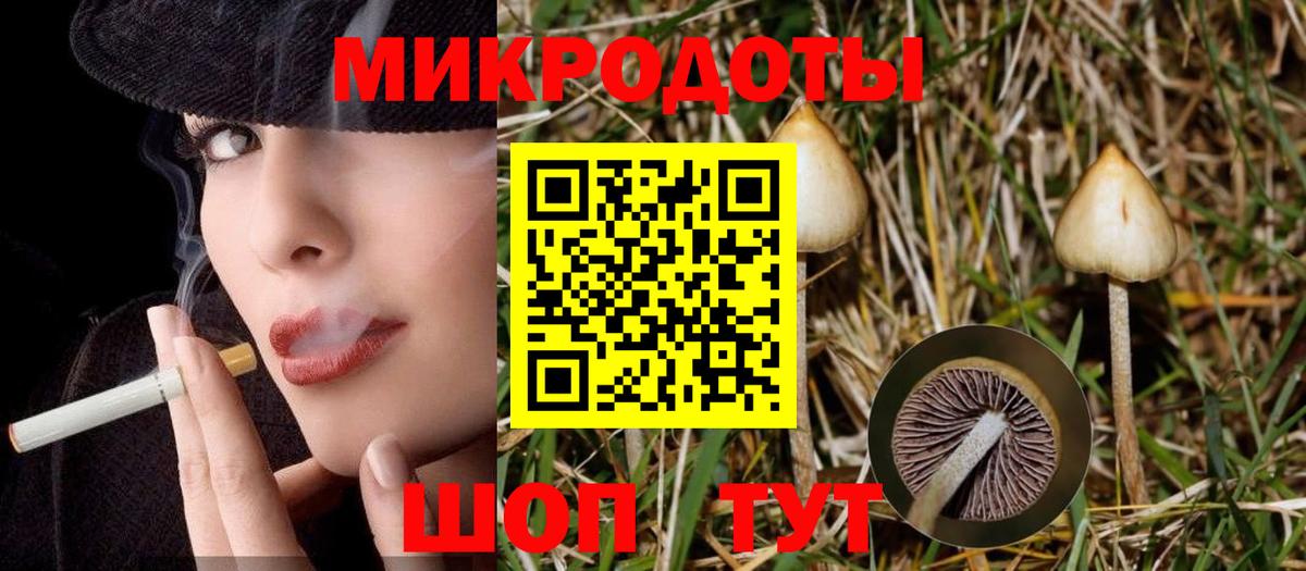 Галлюциногенные грибы MAGIC MUSHROOMS  Псилоцибиновые грибы мицелий  Вход с VPN  Новочебоксарск 